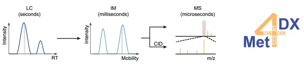 LC-IM-MS/MS multidimensional separations for plant metabolite analysis